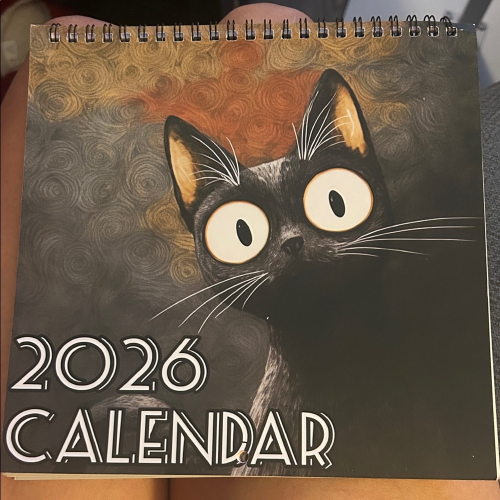 2026 Cat whimsical Art Calendar